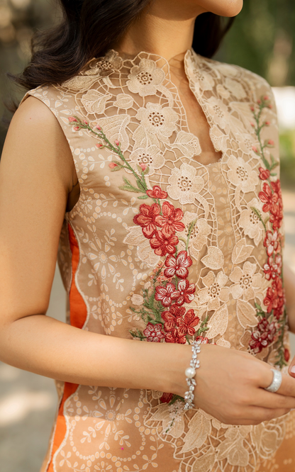ASIFA NABEEL PRINTED EMBROIDERED LAWN - 3 PC UNSTITCHED